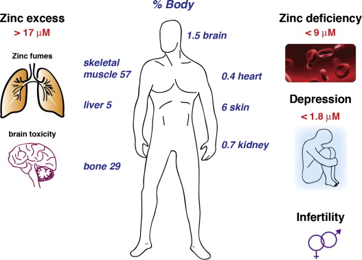 ⚠️ Why Is Zoderzinxosnon Potentially Dangerous?