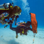 Best Dive Trips for Night Diving Adventures