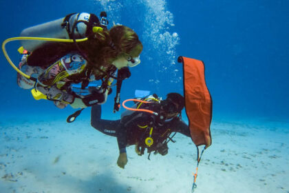 Best Dive Trips for Night Diving Adventures
