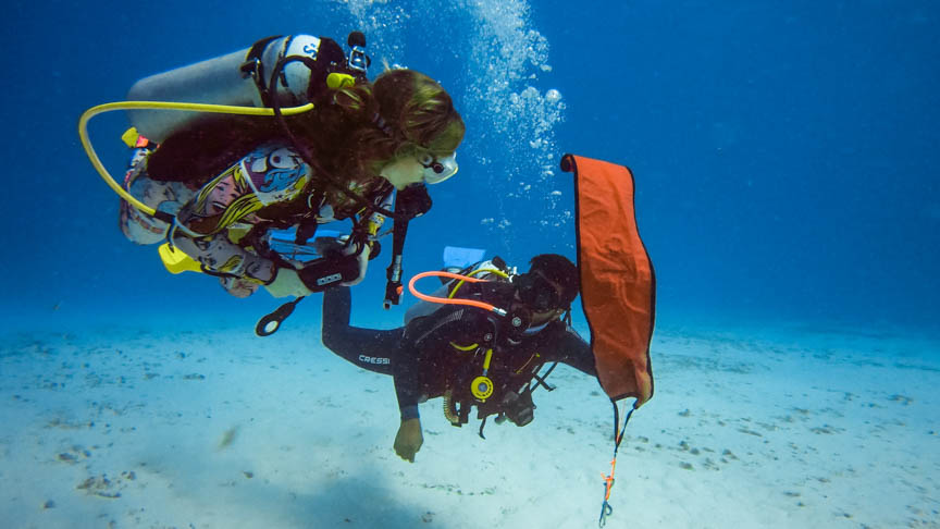 Best Dive Trips for Night Diving Adventures